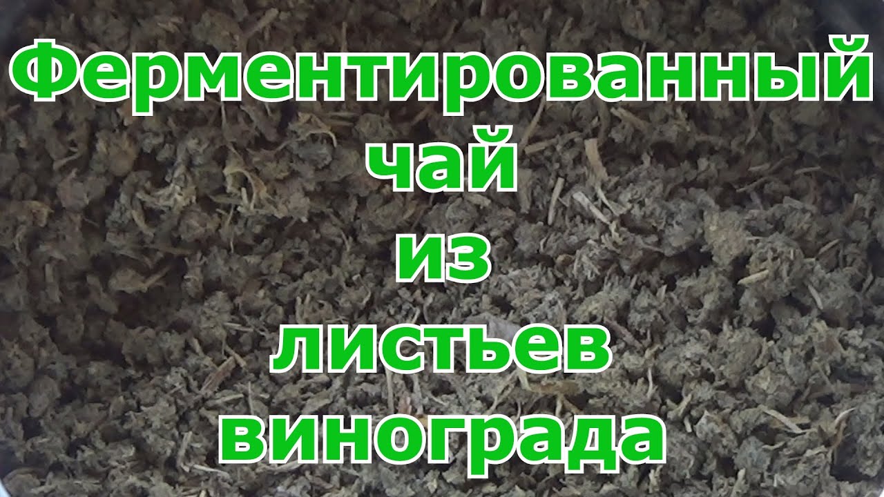 Ферментированный чай из листьев винограда. Это лучше, чем просто заваривать разные сушеные травки