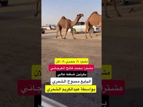 مشترا محمد فالح العرجاني بكرتين ظغط عالي