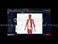 Biodigital Anatomy and Nervous Systems