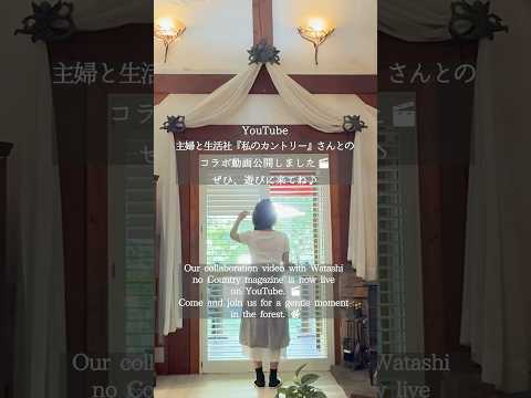 光と影が織りなす窓辺のリフォーム ✨NORMAN JAPAN ウッドシャッター Before→After｜wanlife 森の暮らし#shorts