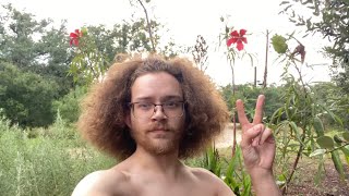 Texas Thunderstorm with Little Ducks on the Farm Rainy Nighttime Noises ASMR