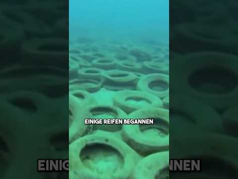 Als Florida 2 Millionen Reifen im Meer versenkte