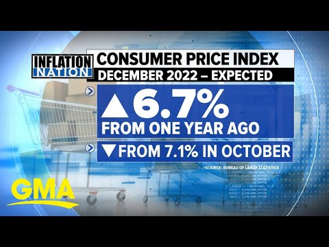All eyes on critical CPI report