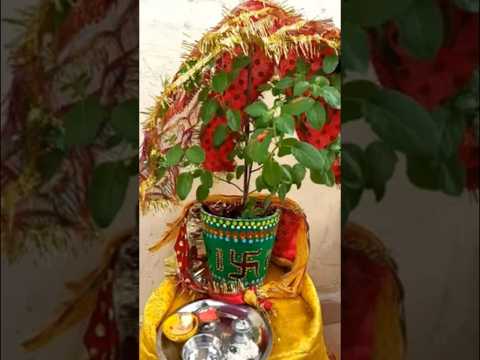 Radhe Poochh Rahi tulsa Se tulsa Kahan Teri sasural #viral #song #tulsimaiya #ytshorts