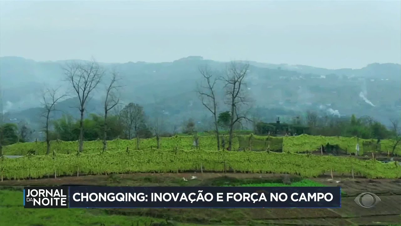 Chongqing inovação e força no campo
