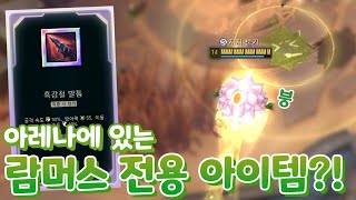 흑강철발톱 이거 아레나 람머스 전용템임 고정딜30000 넣음