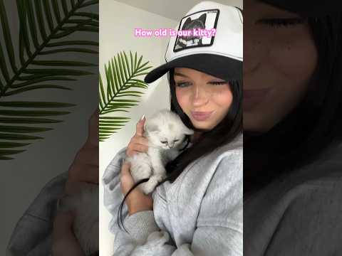 Guess how old is she? 🥰 #nevada #tiktok #ytshorts #kitten #trend