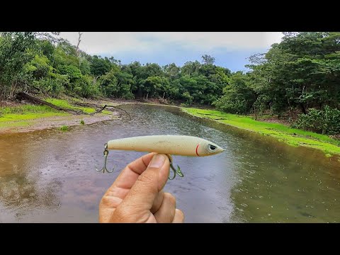 DEU TREMEDEIRA NAS PERNAS, O Rio dos GIGANTES! Só pancada