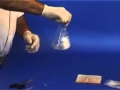 Thermal Experiments and Observations