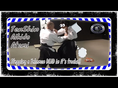 Essential Aikido: Crush Any Yokomenuchi Attack!!! #LennyslyTenShinAikido #aikidopractice