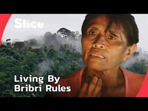 YouTube video thumbnail: A Foreigner Among the Bribri: The Challenge of Becoming Part of an Indigenous World