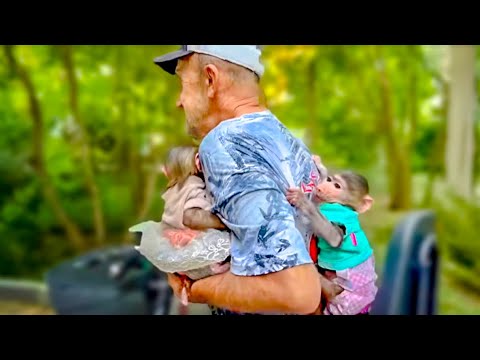 Степашка освоил новый вид передвижения на папе! Теперь Степашка елет РЮКЗАЧКОМ