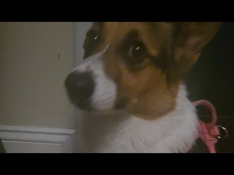 Night time with Nori