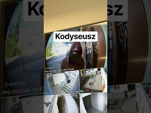 Kodyseusz wraca z tułaczki po konferencjach, by odkryć, że Prompteusz rozwalił firmę