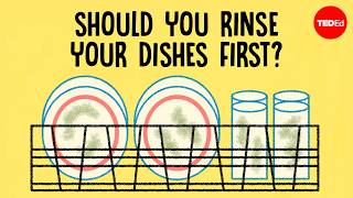 Should you rinse your dishes before placing them in the dishwasher? - Rachel Yang