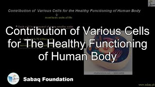 Contribution of Various Cells for The Healthy Functioning of Human Body