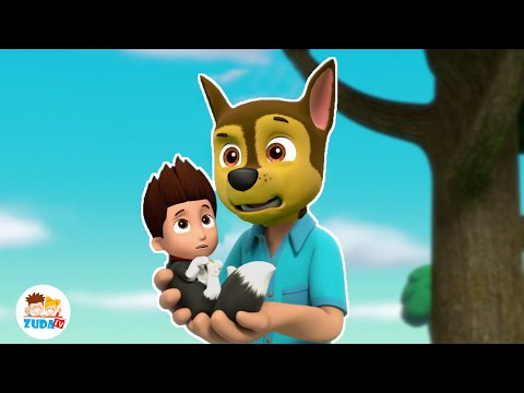 PAW PATROL Face Swap |  Funny Reactions 2 |  2025