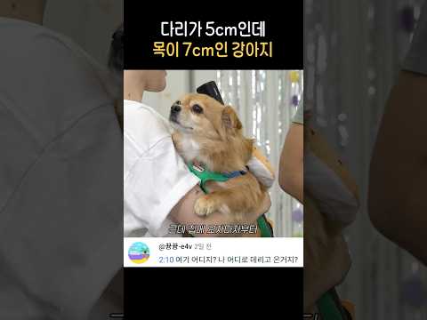 긴장해도 내 새끼 자랑은 못 참지~!