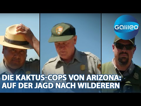 Stachelige Wächter: Die Saguaro-Wächter im Einsatz gegen Kaktus-Wilderer!