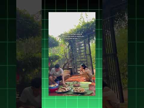 Chưa từng có người yêu