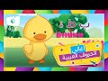 Themes in Video Sections