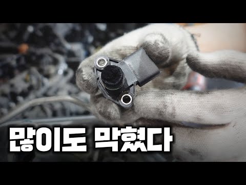 <strong>올뉴쏘렌토</strong> 디젤 3종 관리 및 기본 관리🧐