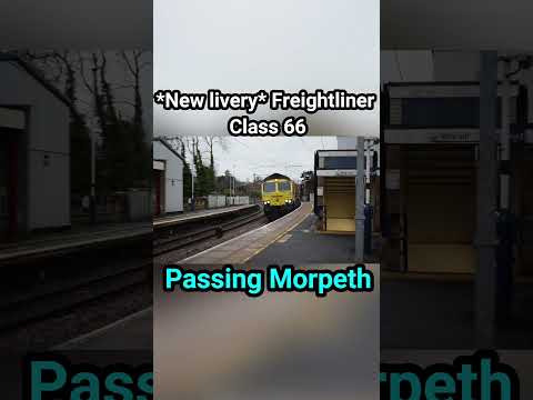*New livery* Freightline class 66 passing Morpeth #shorts