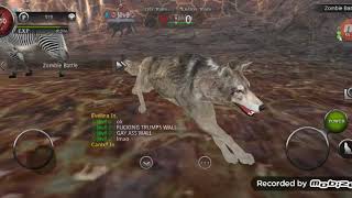 Play Wao