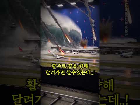 <strong>지구</strong> 멸망에서 살아남기ㄷㄷ