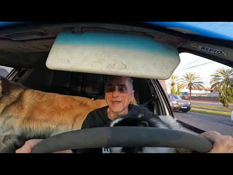 KLE 621 FULL & GIOVANA CANA BRASIL & PATRULHA CANINA NO UBER ESCOLAR 30-08-2024 PARTE 2