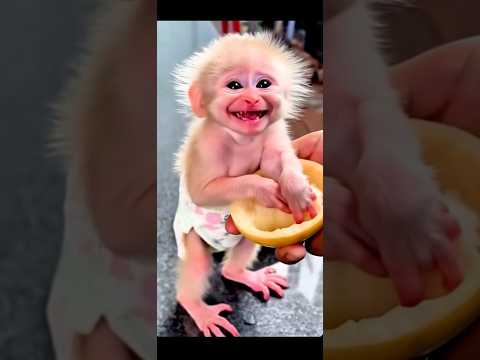 Милота 🙈😍♥️ #comedy #смехпродлеваетжизнь #смешно #funny #смешнойшортс #humor #memes #шуточное