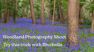 Capturing Bluebell Woodlands | Photography Techniques.