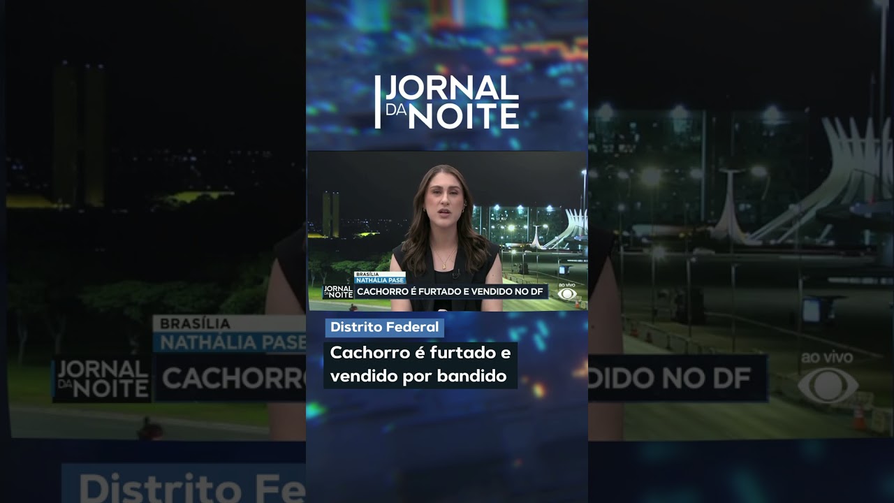 Cachorro é furtado e vendido por bandido