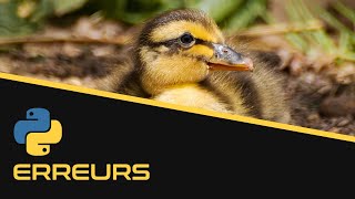 Gestion des erreurs | Python - EP13