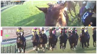 【2023年有馬記念】ジョッキーカメラと普通のレース映像を合せてみた【自分用】