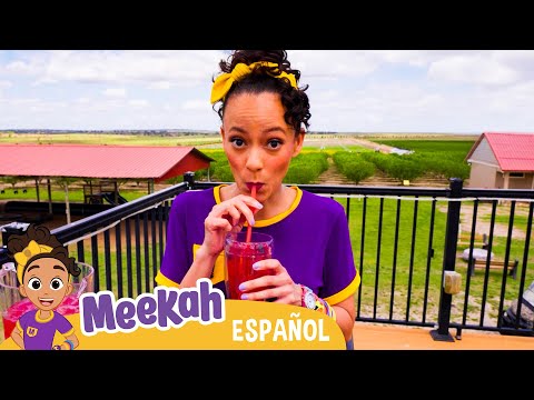 Granjas Southern Hill | 💜¡Hola Meekah!💜Amigos de Blippi | Videos educativos