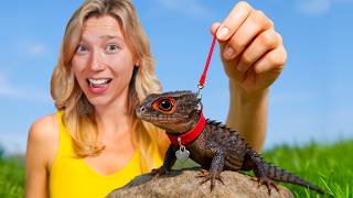 I Got a Pet Dragon...