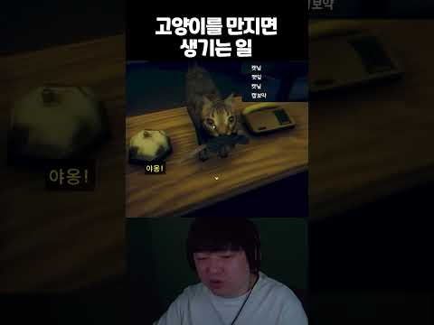 해외에서 200만 명이 넘게 본 그 영상