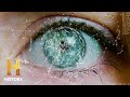 Predictive Analytics and Consciousness Concepts