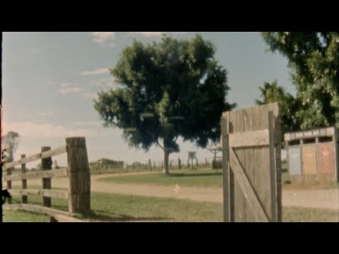 Morgan Wallen - Skoal Chevy Browning (feat. Lil Durk)