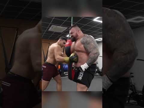 El Hombre Más Fuerte Del Mundo VS Boxeador Profesional (@eddiehall)