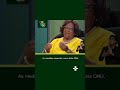 Movimento Pacífico e Contribuições Brasileiras