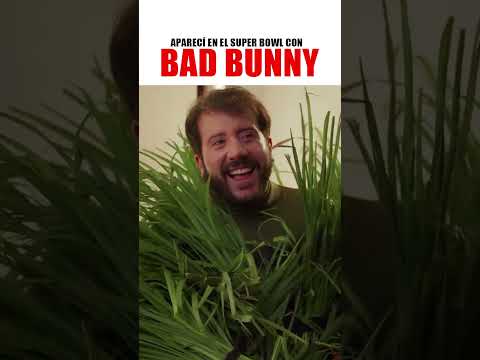 Fui el Mejor Arbusto en el Concierto de Bad Bunny