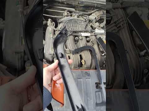 Дарю молдинги за подписку в тг 😉