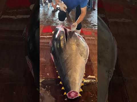 bluefin tuna cutting at its finest every move counts#freshcatch #knifepro #seafoodlife