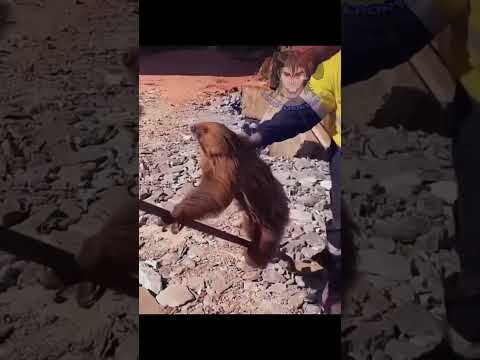 LA NATURALEZA ES BONITA 105 #doblaje #humor