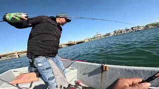 pesca de lenguado