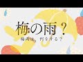 Understanding Ume and Tsuyu Concepts