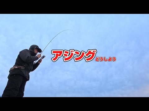 【釣り】若狭湾2025年アジング激烈貧釣チャリングに変えようかなw