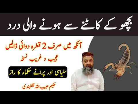 Scorpion Bite Immediate Treatment l بچھو کے کے کاٹے کا فوری حل l Hakeem Habib Ullah